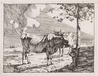 KG 04330
<br/>
Koeien
<br/>
<em>Bije, Marcus de (1639-ca. 1690)</em>